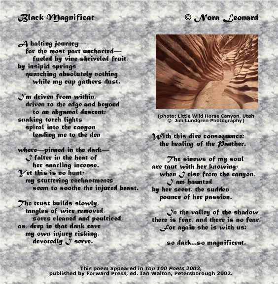 absolutely nothing poem